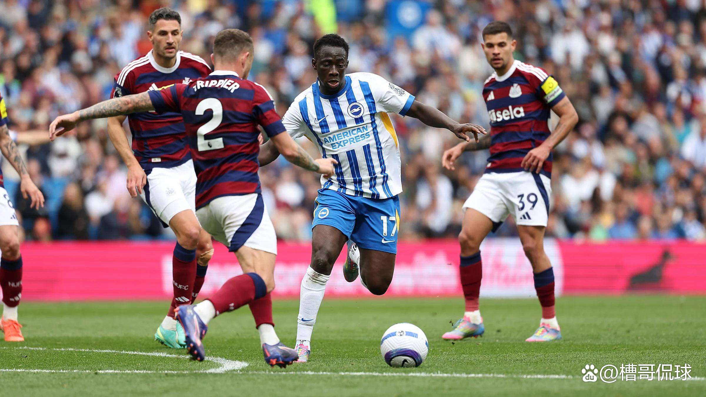 华体会官方-包含冲刺阶段体能课后，布莱顿战术微调备战德甲，媒体盛赞，年轻球员得到机会的词条